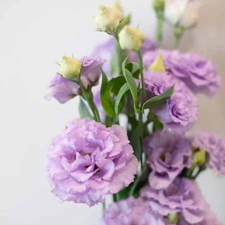 Guest house Belli Boutique 4*