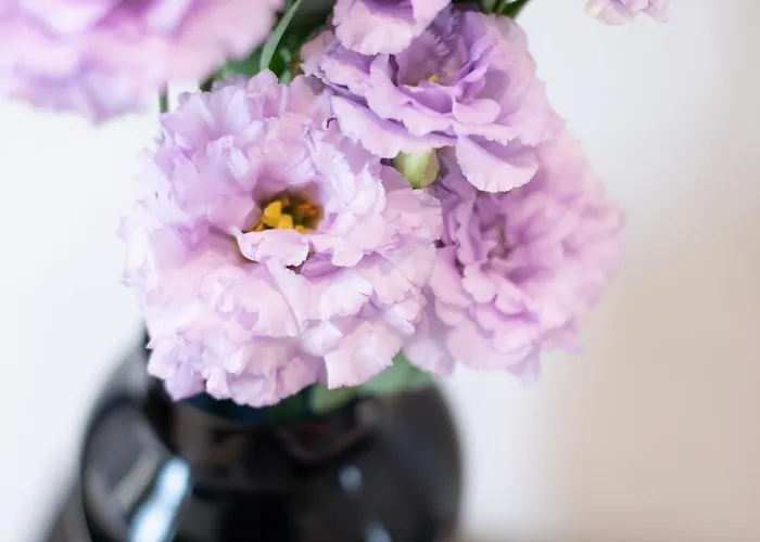 Belli Boutique Gæstehus